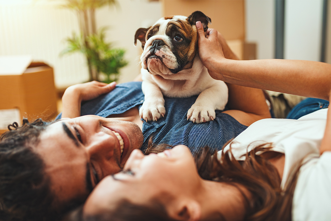 couple together with bulldog