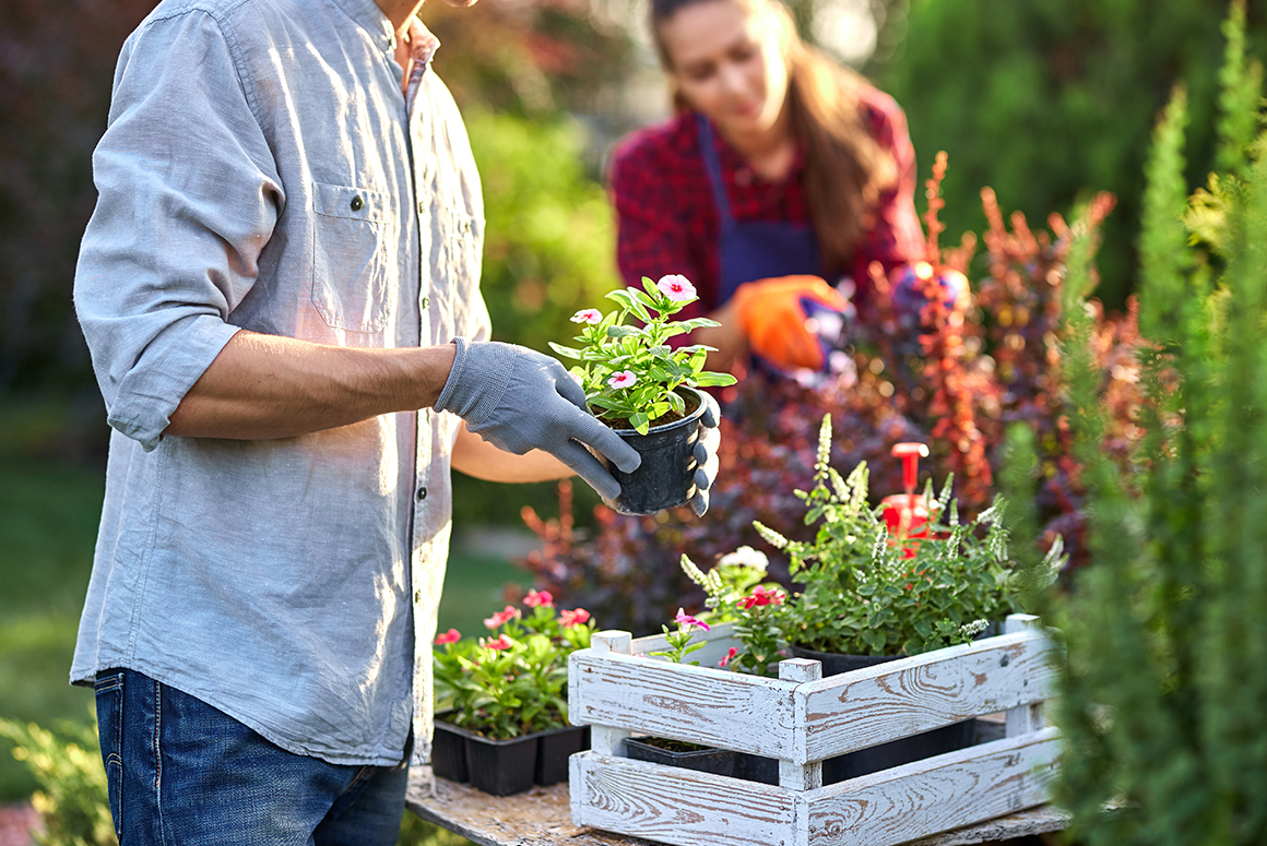 couple working their garden with gloves on