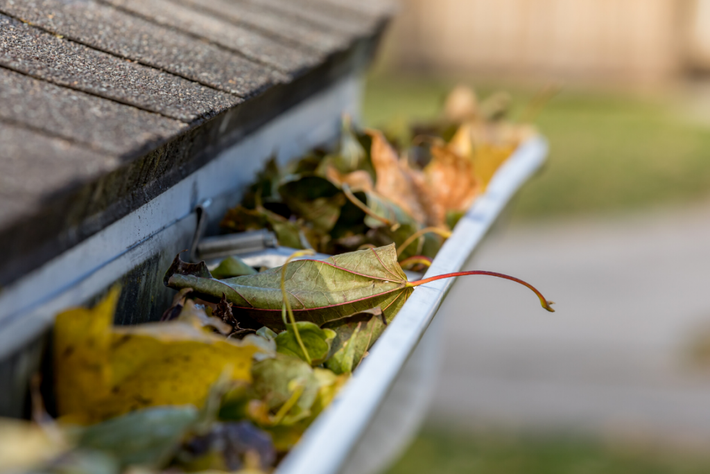 leaves in gutter