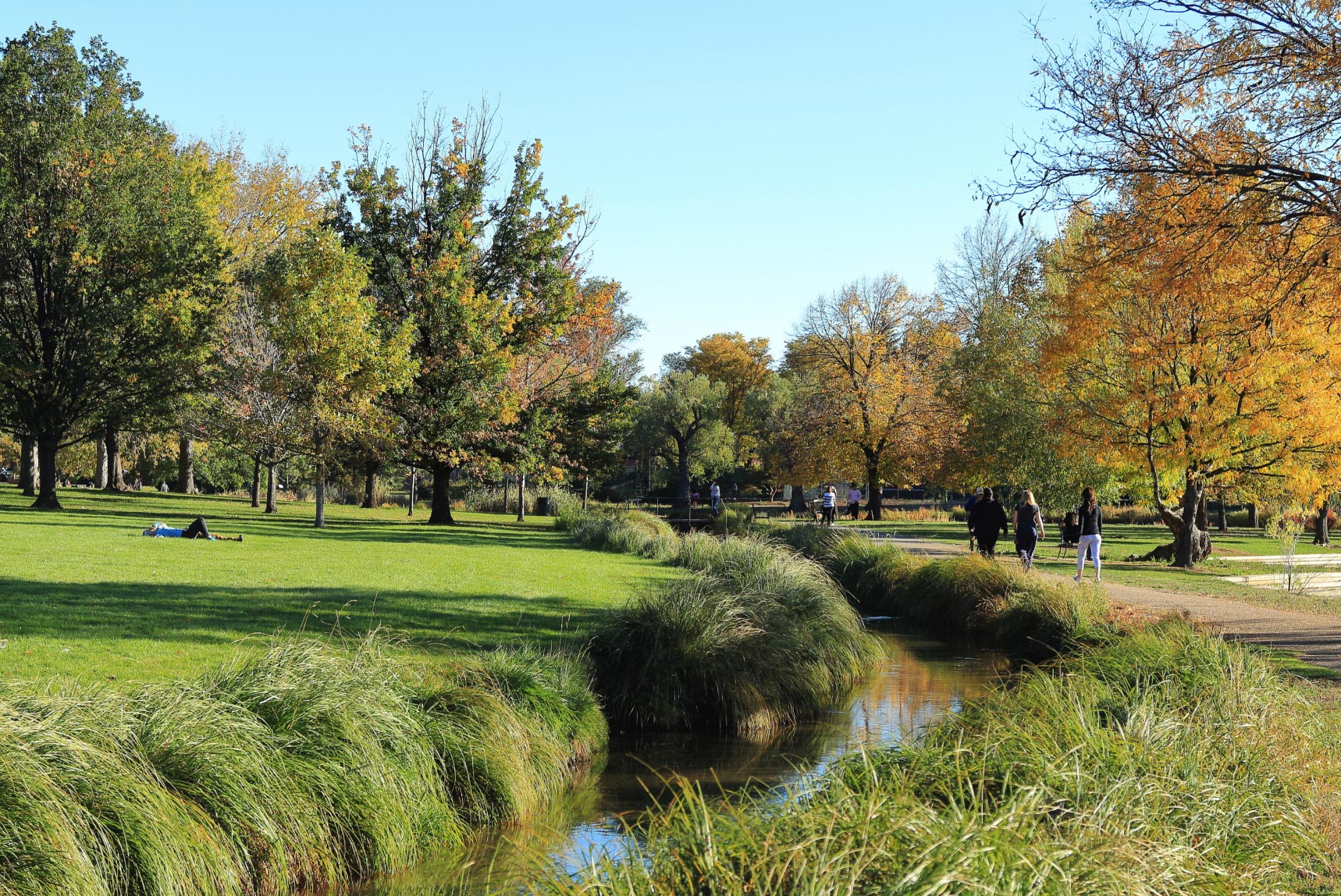 washington park landscape photo